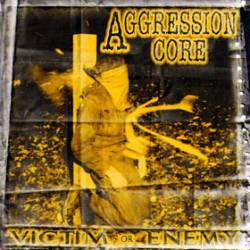 Aggression Core : Victim or Enemy